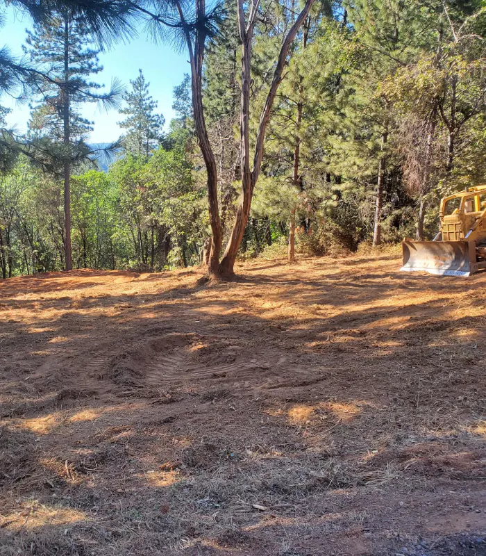 land clearing services in Foresthill CA
